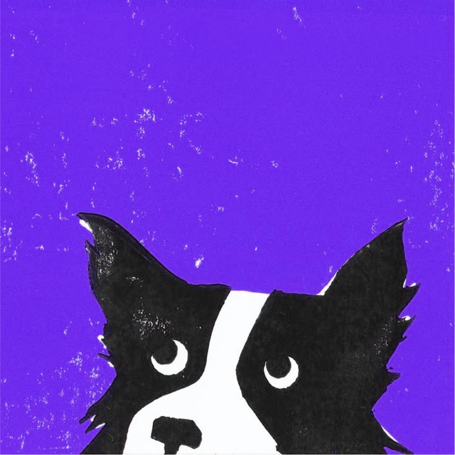 Apollo
